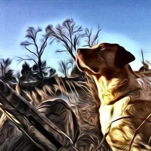 Meet your Posher, Caleb